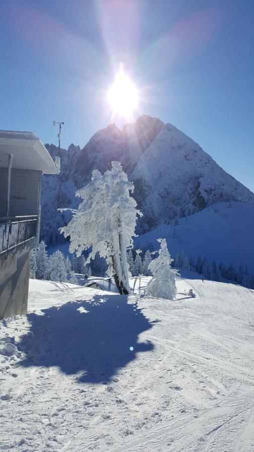 Gaestehaus Walpurga Russbach am Pass Gschütt Esterno foto