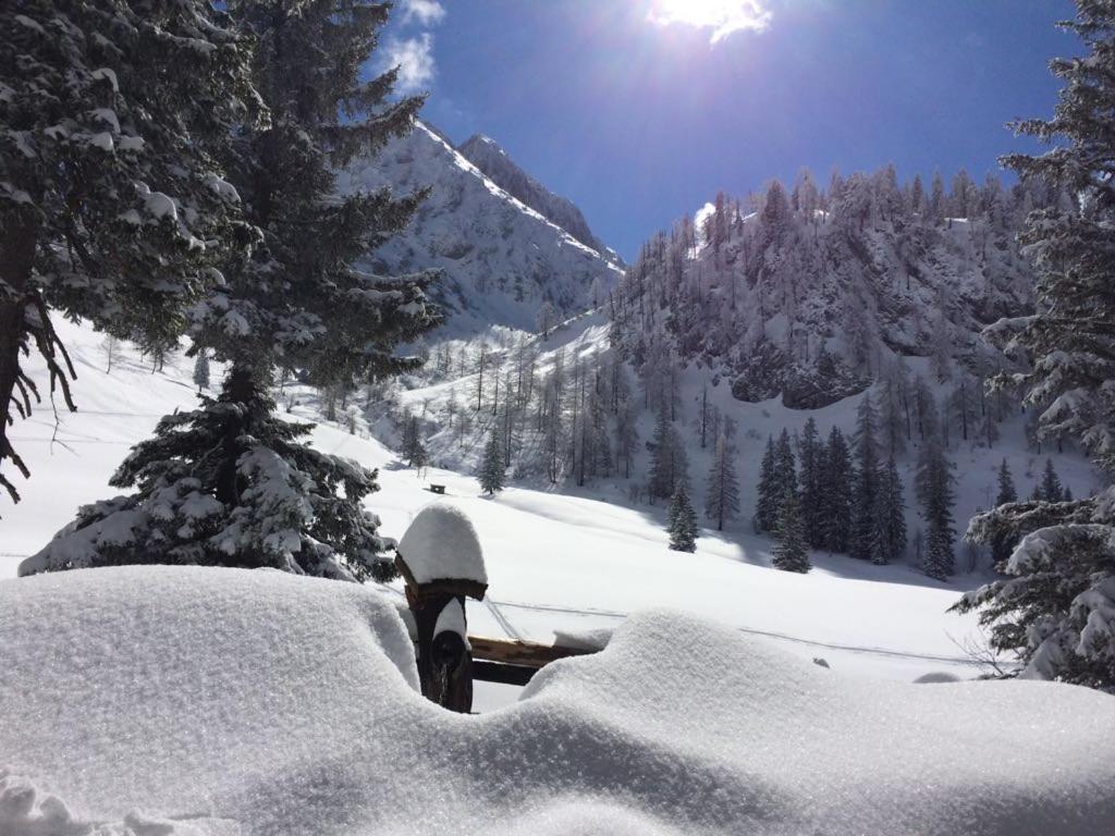 Gaestehaus Walpurga Russbach am Pass Gschütt Esterno foto