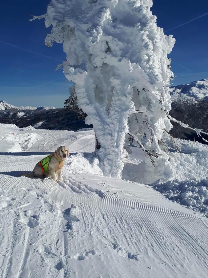Gaestehaus Walpurga Russbach am Pass Gschütt Esterno foto