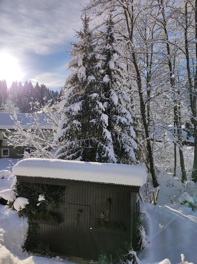Gaestehaus Walpurga Russbach am Pass Gschütt Esterno foto