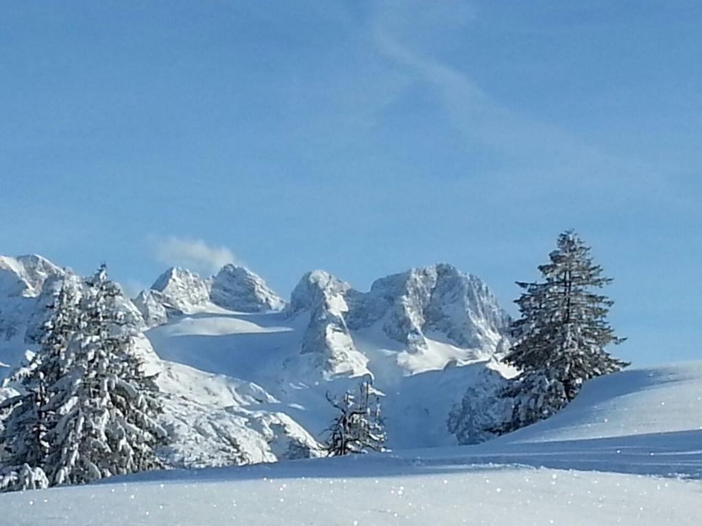 Gaestehaus Walpurga Russbach am Pass Gschütt Esterno foto