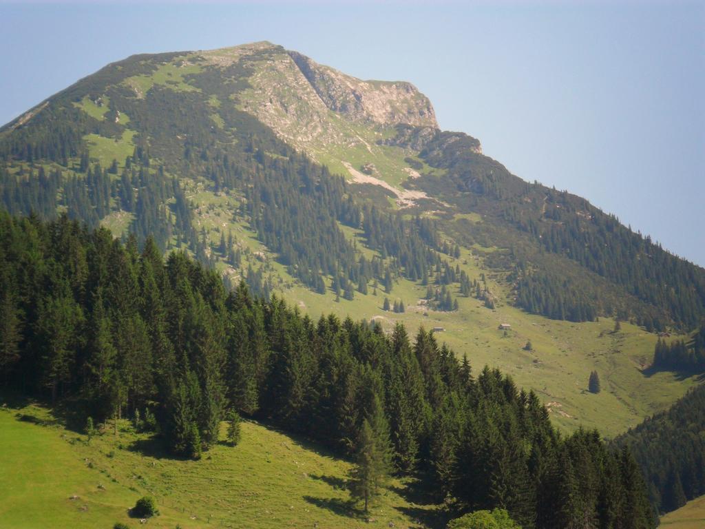 Gaestehaus Walpurga Russbach am Pass Gschütt Esterno foto